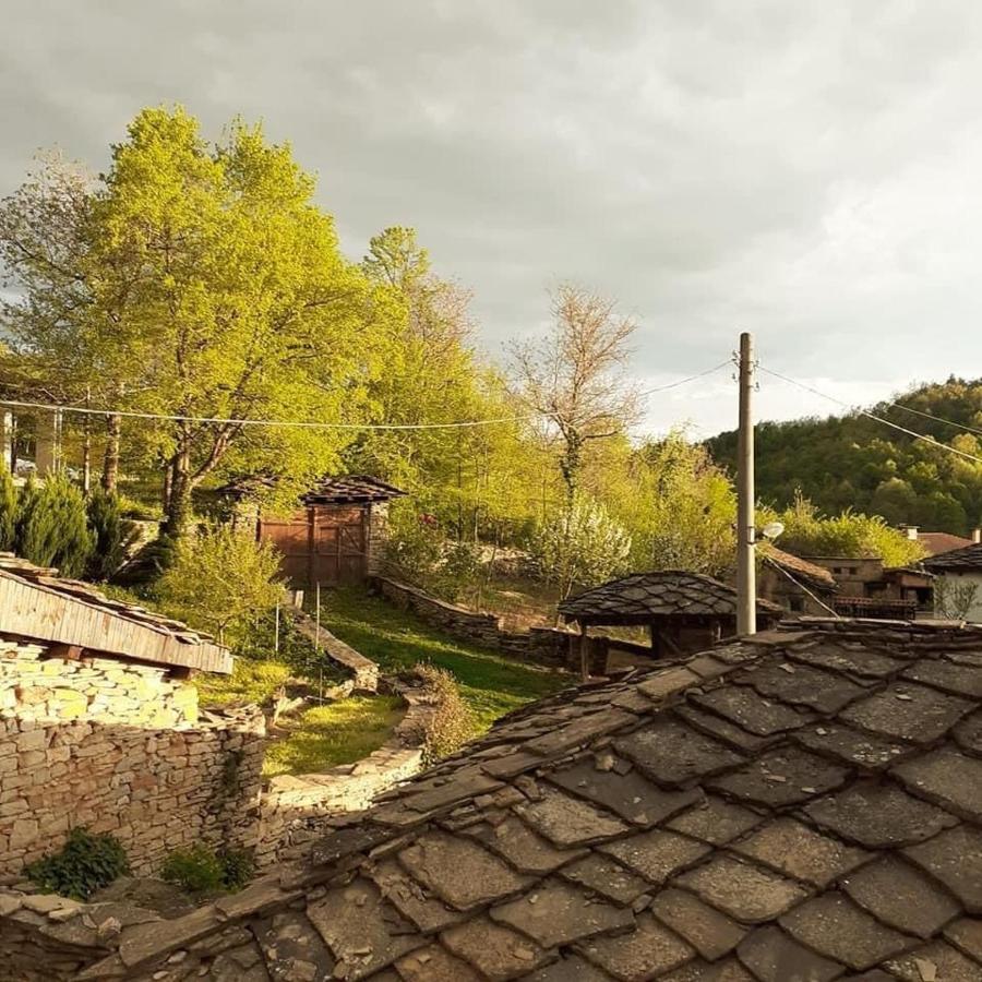 Villa The Legends , Art & Forest à Gabrovo Extérieur photo